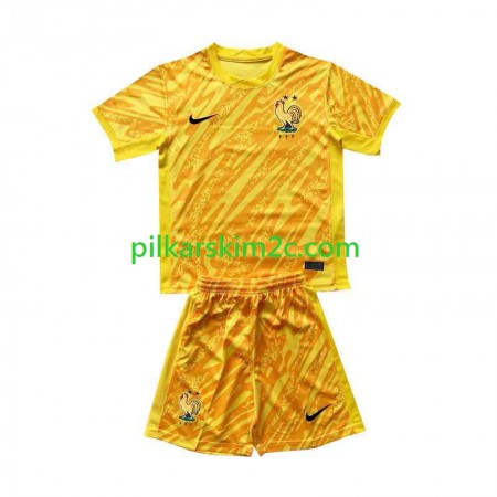 Koszulka Francja Bramkarskie Dziecięca Główna Mistrzostwa Europy 2024 Koszulki Piłkarskie